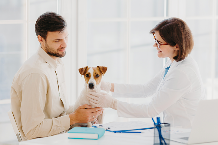 Man with dog at the vets